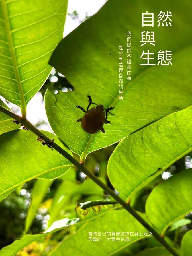 慢水山丘民宿 Slow Water Hill Yuemei Εξωτερικό φωτογραφία